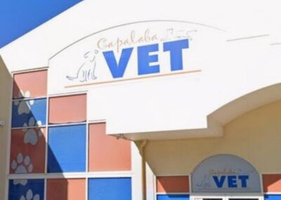 HP6 medical & vet project — Capalaba Vet, Qld
